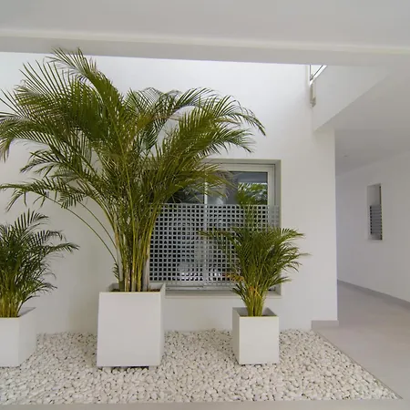 Brand New In Belaire, Pools, Garden *
