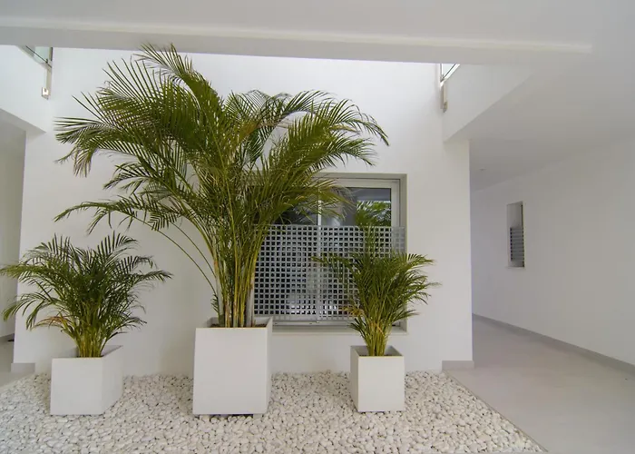 Brand New In Belaire, Pools, Garden *